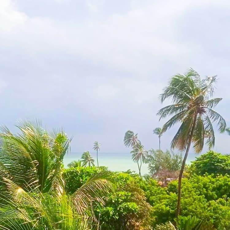 Wind Villa Cumbuco - Apartamento Eksteriør bilde